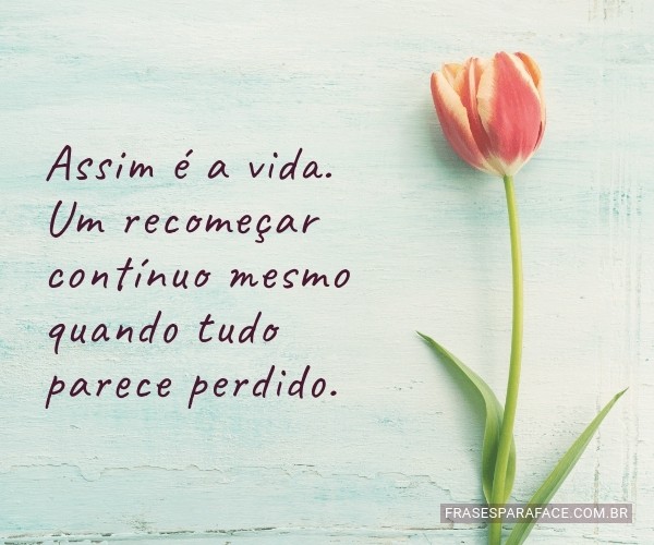 assim-e-a-vida-um-recomecar-continuo-mesmo